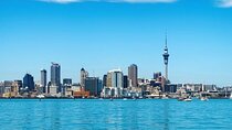 Street Food Tour of Auckland with a Local Guide
