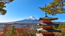 Private Customizable Tour in Mount Fuji