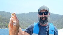 Private Fishing Experience in Santa Marta