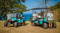 Tamarindo 4 Seat Golf Cart Rental with Delivery