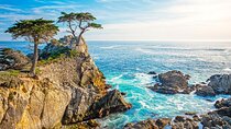 17 Mile and Pebble Beach Tour from Los Angeles to San Francisco