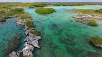 Yalku Lagoon and Cenote Express