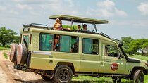 2 Days Tarangire & Ngorongoro Budget Safari Tour Tanzania