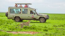 6 Day Tanzania Wildlife Mid range Safari