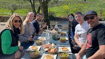 Bordeaux Full Day Wine Tour - 3 Wineries & Gourmet Picnic Lunch