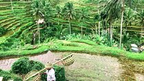 Private Tours to The Heart Of Bali Island