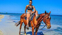 Horseback Ride & Swim Jamaica/Montego Bay