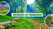 EXPLORE UNIVERSITY PERADENIYA-KANDY HALF DAY PRIVATE TOUR BY Tuk 