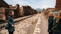 Naples Highlights and Pompeii Private Full Day Tour with Driver