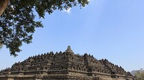 2-Day Java Tour from Bali Including Yogyakarta and Borobudur Temple