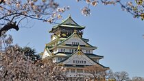 Private Customizable Tour Visit in Nagoya with Transfer Included