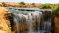 Private Tour to Fayoum Whales Valley & Wadi El Rayan from Cairo