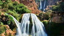 Private Day Tour: Ouzoud Waterfalls & Middle Atlas from Marrakech