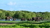 Sri Lanka 6 Days Private Tour with Hotels and Meals