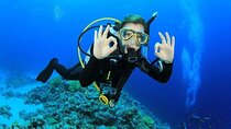 Antalya Scuba Diving With Transfer From Belek,Lara,Kemer Hotels