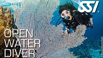 SSI Open Water Diving Course in Costa Rica 3 days