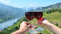 Douro Valley Delights Wine Tasting and Scenic Vistas
