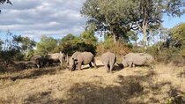 Exclusive Game Drive & White Rhino Safari in Livingstone Zambia