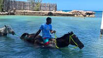 Bamboo Rafting & Horseback Ride n Swim Guided Tour In Montego Bay