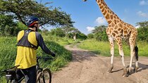 2 Days Cycling Safari To Lake Mburo National Park