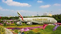 Dubai: Miracle Garden & Global Village Private Tour