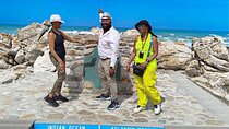 Private Tour to Cape Agulhas Full Day from Cape Town