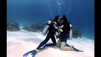 "Premium" Non Certified Beginner Scuba Diving in Racha Yai/Noi