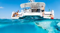 4H Private Vip Catamaran Tour with Swim Up to 18 people