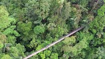 Arenal Hanging Bridges with Hotsprings, Lunch and Dinner
