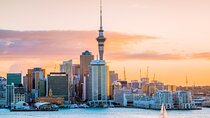 Private Auckland Highlight Day Tour