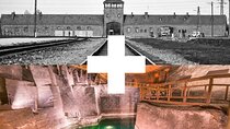 From Krakow: Auschwitz & Wieliczka Salt Mine Guided Tour
