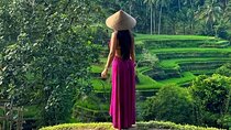 Ubud Guided Tour Monkey Forest, Waterfall, Temple & Rice Terrace.