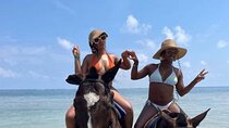 45 Minutes Horse Back Riding in Montego Bay