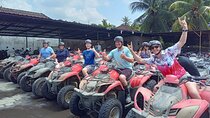 ATV Cave Waterfall And Ubud Hidden Gems Private Tour 