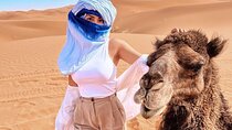 Explore Merzouga with our unforgettable Camel Expeditions