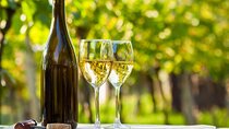 Exclusive Vinho Verde Alvarinho and Minho Region Wine Tour