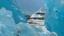 Navigation All Glaciers, Upsala and Sepegazzini with Trf to the port