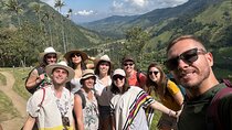 2 Days Experience: Cocora, Salento, Filandia, Coffee & Hotsprings