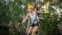 Tree Top Activity for Thrill Seekers and Adventurers in Adelaide