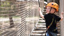 An exciting, Tree Top Adventure for Our Littlest Adventurers