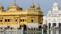 Amritsar 1 Day Tour(Wagah Border,Golden Temple, Jallianwala Bagh)