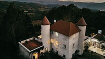 3-Hour Chateau Defay Vineyard Tour in Central America
