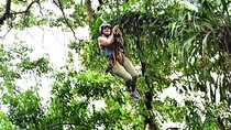 Tarzan Swing and ZipLine Tour