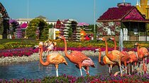 Skip the Line Dubai Miracle Garden Tickets