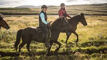 The Viking Horse Riding Experience in North Iceland