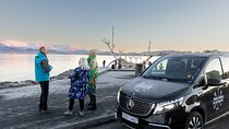 Reykjavik Private 4-Hour Tour with Transfer