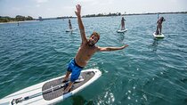 Paddle Surf Board Rental in Valencia