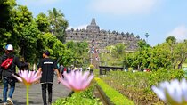 Day Trip to Merapi and Temples from Yogyakarta