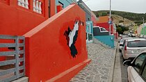 Bo Kaap Seal Island World of Birds and Constantia Wine Tasting