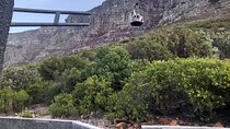 Table Mountain and Constantia Wine Tasting with Afrogem Tour